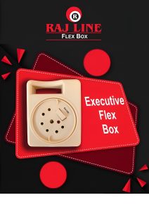Read more about the article Rajline Executive Flex Box